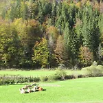 Holiday home Mendlingbauer