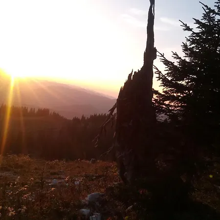 Mendlingbauer Σπίτι διακοπών