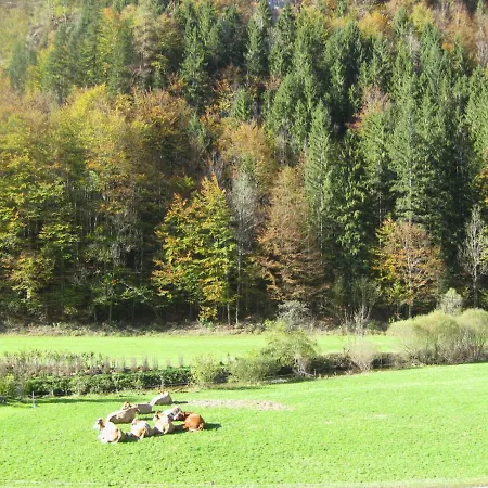 Σπίτι διακοπών Mendlingbauer