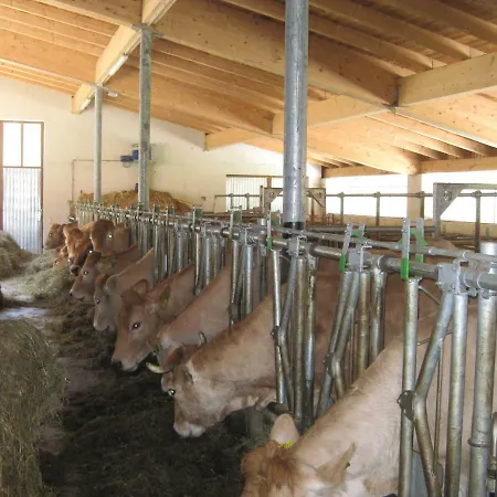 Ferienhaus Mendlingbauer Lassing (Mostviertel)