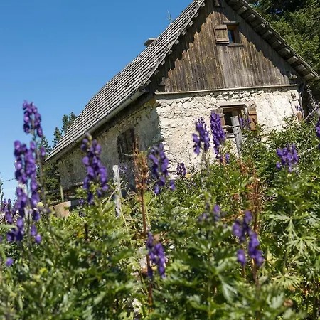 Mendlingbauer * Lassing (Mostviertel)