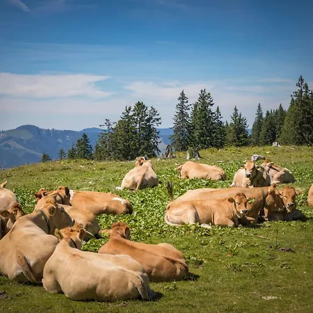 Mendlingbauer Σπίτι διακοπών