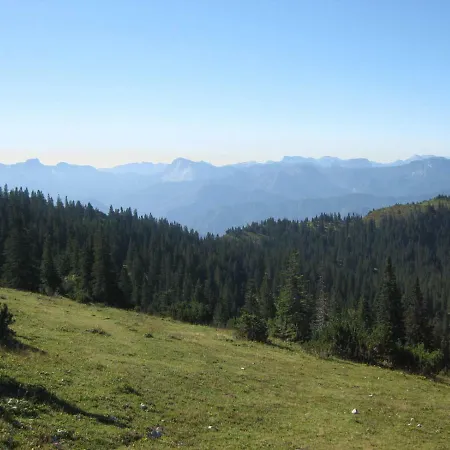 Ferienhaus Mendlingbauer *