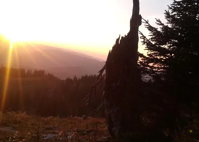 Mendlingbauer Feriehus