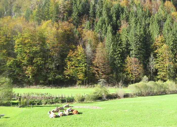 Feriehus Mendlingbauer