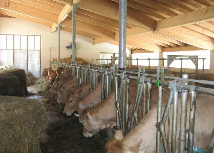 Semesterbostad Mendlingbauer Lassing (Mostviertel)