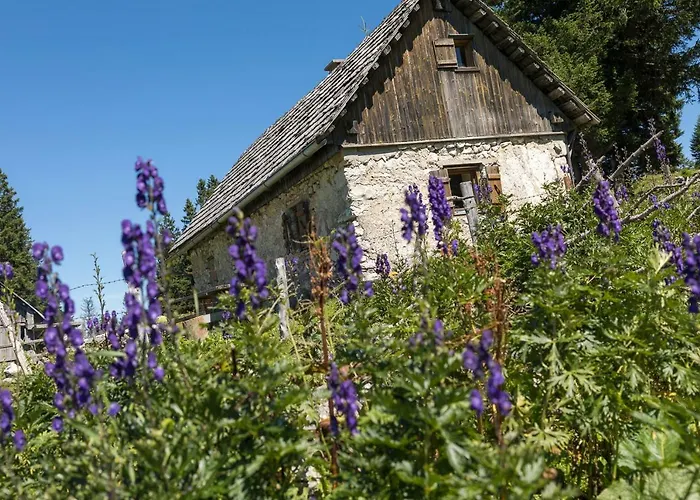 Mendlingbauer * Lassing (Mostviertel)