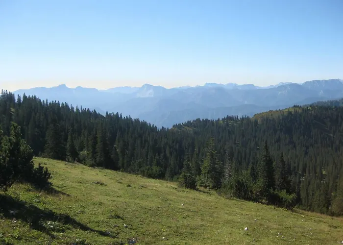 Feriehus Mendlingbauer *