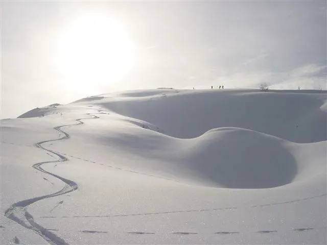 Mendlingbauer * Lassing (Mostviertel)